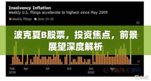 波克夏B股票,投资焦点,前景展望深度解析