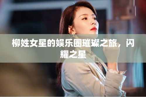 柳姓女星的娱乐圈璀璨之旅,闪耀之星