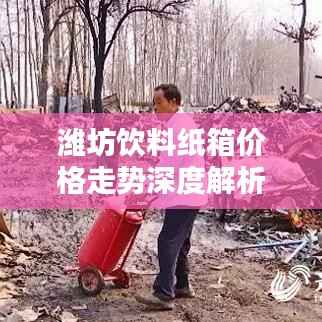 潍坊饮料纸箱价格走势深度解析