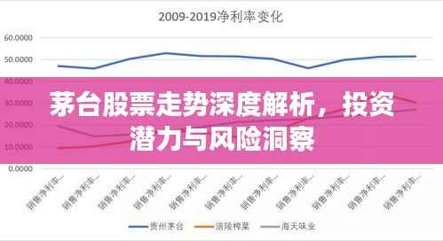 茅台股票走势深度解析,投资潜力与风险洞察