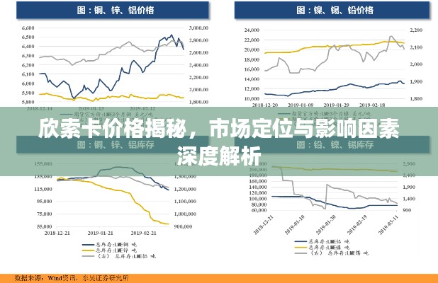 欣索卡价格揭秘,市场定位与影响因素深度解析