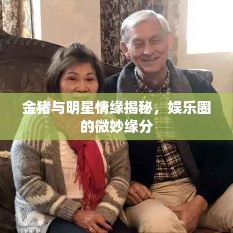 金猪与明星情缘揭秘,娱乐圈的微妙缘分