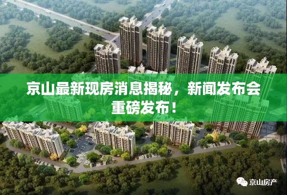 京山最新现房消息揭秘,新闻发布会重磅发布!